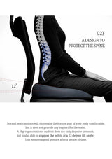 Ergonomic seat cushion design with spinal illustration on a white background