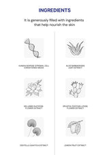 List of skin-nourishing ingredients with corresponding illustrations on a white background