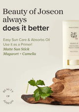 Beauty of Joseon Matte Sun Stick with mugwort and camellia on a wooden block against a light background