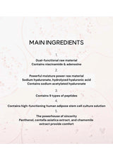 List of main ingredients on a textured background