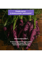 Purple carrots with green tops on a wooden surface, text explaining anthocyanin.