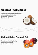 Coconut fruit extract and palm oil with text on a white background
