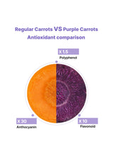 Comparison chart of regular carrots and purple carrots showing antioxidant levels.