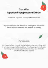 Camellia Japonica Phytoplacenta Extract description with floral graphics on a white background
