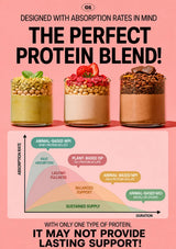 A promotional graphic for a protein powder blend, featuring three styled protein smoothie cups on a pink background with text about absorption rates and a diagram comparing animal-based, plant-based, and balanced protein sources.