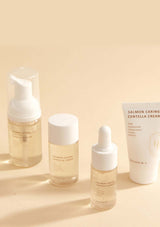 HEVEBLUE Salmon Caring Centella Special Travel Kit, including a bubble cleanser, toner, ampoule, and cream in a transparent plastic packaging with a handle.