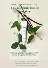 NOTS Centellascar Ointment tube with leaves and twigs on a light background