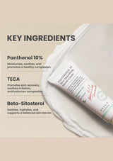 AXIS-Y Panthenol 10 Skin Smoothing Shield Cream 50ml — key ingredients; original brand product information