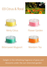 Vita Pure citrus floral family fragrance guide