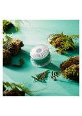 BODYLUV Vita Pure Filter in sweet mugwort scent