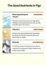 Chart detailing the good nutrients in figs including plant-based enzyme, vitamin C, and minerals.