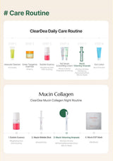 An infographic titled '# Care Routine' showing two skincare routines: 'ClearDea Daily Care Routine' and 'Mucin Collagen ClearDea Collagen Night Routine', with step-by-step product sequences and small product photos on a light beige background.