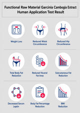An infographic titled 'Functional Raw Material Garcinia Cambogia Extract Human Application Test Result' on a light gray background, showing nine circular icons with illustrations and labels for weight loss, reduced waist and hip circumference, total body fat reduction, reduced visceral fat area, subcutaneous fat reduction, decreased serum leptin, body fat percentage reduction, and BMI reduction.