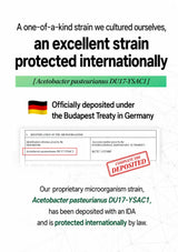 A text-heavy promotional graphic for a strain of Acetobacter pasteurianus, with bold black headline text, a green band containing the strain number, a small German flag, a deposited document screenshot, and a red 'Complete the deposited' stamp on a white background.