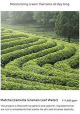 Tea plantation with text about matcha moisturizing cream