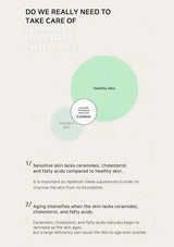 Diagram explaining the importance of ceramides, cholesterol, and fatty acids in skin health on a light background.