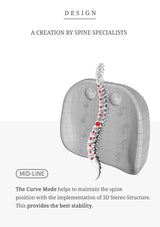 3D model of a spine with highlighted structure on a white background, labeled 'A Creation by Spine Specialists'.