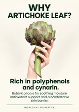 Artichoke leaf ingredient story in MOLVANY Soothing Cream