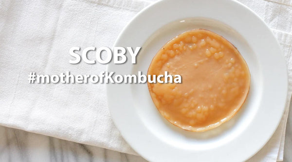 SCOBY - COCOMO