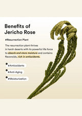 Jericho rose hydration and antioxidant care in ABIB Collagen Eye Patch