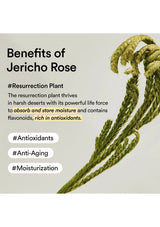 Olive Young ingredient guide displayed for ABIB Rice Probiotics Overnight Mask