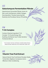 Skincare product ingredients with illustrations and text on a light green background