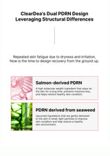 Promotional text about ClearDea's Dual PDRN Design with salmon-derived and seaweed-derived PDRN.