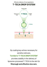 Diagram of T-TECA Drop System for effective delivery of cica ingredients on a white background.