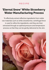 Product description text with a strawberry sorbet texture and white strawberry water focus on moisturizing and exfoliating skin.