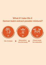 Diagram explaining the effects of Ob-X lemon balm extract powder mixture on body fat reduction.