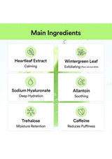 ABIB Heartleaf Spot Pad main ingredients heartleaf wintergreen hyaluronic acid allantoin trehalose and caffeine