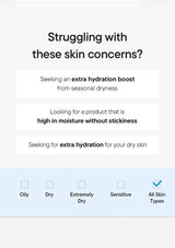 Text-based interface for skin concern assessment with checkboxes for skin type categories.