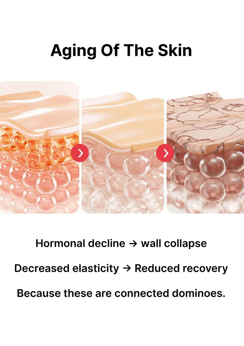 Diagram showing the aging of skin with text explaining hormonal decline and decreased elasticity.