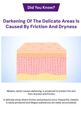 Diagram of skin layers with text about darkening due to friction and dryness.