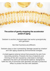 Text about daidzein and its effects on skin aging with a close-up of skin cells.