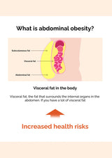 Diagram explaining abdominal obesity with labels for subcutaneous, visceral, and abdominal fat.