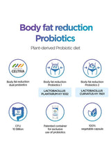 An infographic detailing the benefits of plant-derived probiotics by Celdiva, featuring six circular icons with text such as 'Body fat reduction Probiotics' and '100% vegetable capsule' on a white background.
