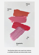 Color swatches labeled 'Karma', 'Future', 'Singularity', and 'Joy' on a white background.