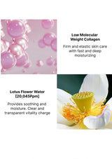 Collagen and lotus flower water with text on a white background