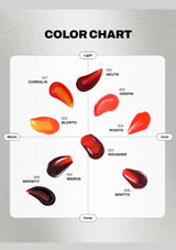 Color chart with red shades on a metallic background