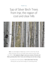 Silver birch trees with text about Inje, a region known for its cool and clear hills.