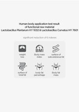 A text-based infographic on a light gray background showing results for human body application test of Lactobacillus Plantarum KY 1032 and Lactobacillus Curvatus HY 7601, with icons and labels for weight loss, BMI, surface of subcutaneous fat, surface of total fat, body fat percentage, and body fat mass.