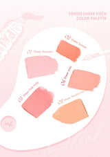 Tinted sheer stick color palette with five shades on a white background