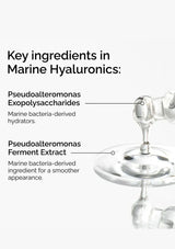 Diagram of marine hyaluronics with labeled key ingredients on a white background