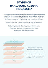 Diagram of hyaluronic acid molecules with text explaining their functions.