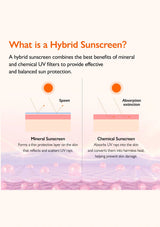 Hybrid mineral and chemical UV filter protection diagram | GENABELLE PDRN Dewy Tone-Up Sunscreen gallery 5 of 9