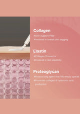 Educational graphic about collagen, elastin, and proteoglycan with text and a close-up of pink gel.