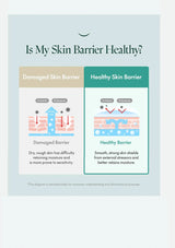 Diagram comparing a damaged skin barrier to a healthy skin barrier with text asking 'Is My Skin Barrier Healthy?'.