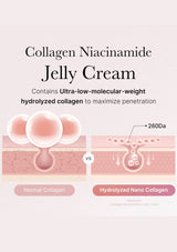 Advertisement for Collagen Niacinamide Jelly Cream with scientific illustration of collagen types.