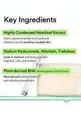 An informational graphic titled 'Key Ingredients' on a white background, listing ingredients such as highly condensed heartleaf extract, sodium hyaluronate, allantoin, trehalose, and plant-derived BHA, with a small clear dropper above a pale cream-colored bar of soap.